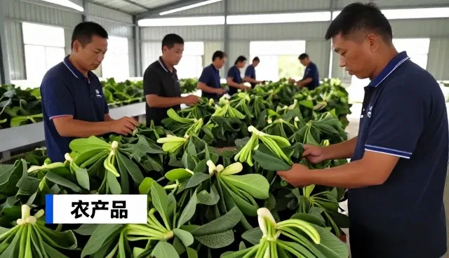 家庭日常使用使用基地合作有哪些优势